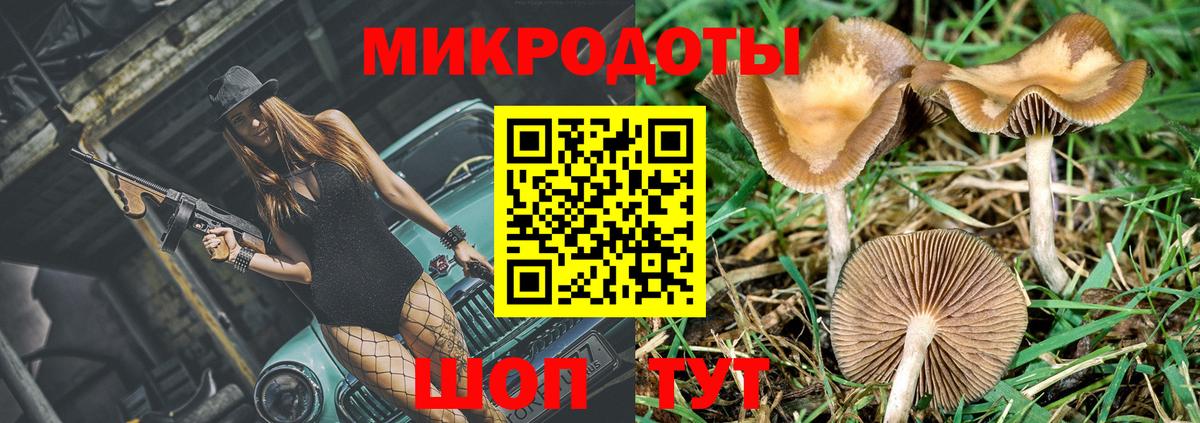 наркошоп  Вход с VPN  Псилоцибиновые грибы мицелий  Самара  Галлюциногенные грибы ЛСД 