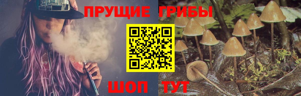 Галлюциногенные грибы мухоморы Самара